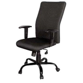 Dc9117 - Director Chair